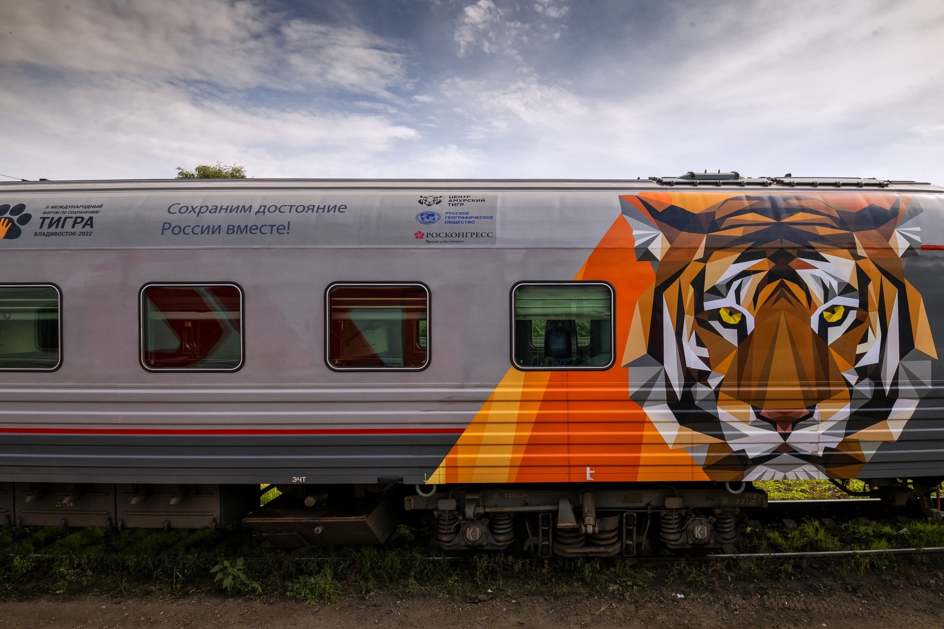 Полосатый рейс: Russ Outdoor и РЖД запустили «тигриный» поезд к Международному форуму по сохранению тигра